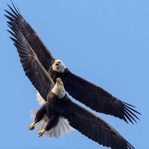 Meet your Posher, Richard